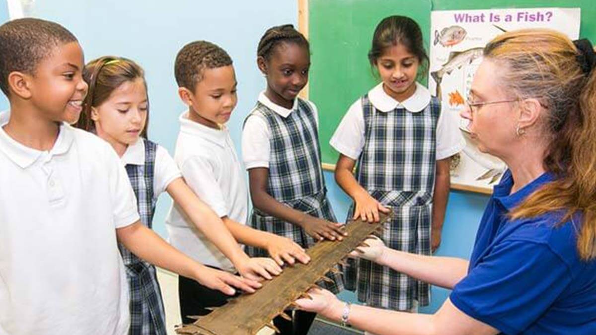 Children learning at the elementary Montessori programs.