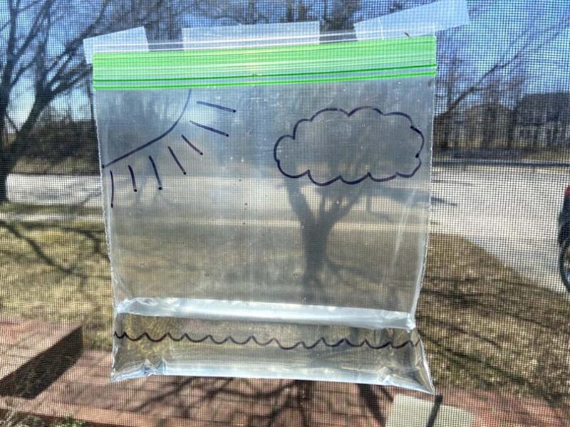 STEM Challenge Water Cycle in a Bag Children's Manor Montessori School
