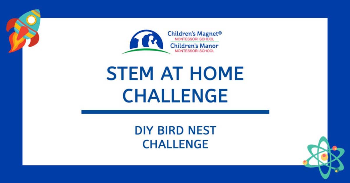 Stem Challenge: DIY Bird Nest - Children's Manor Montessori School