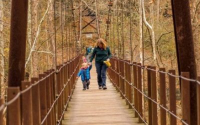 The Swinging Bridge